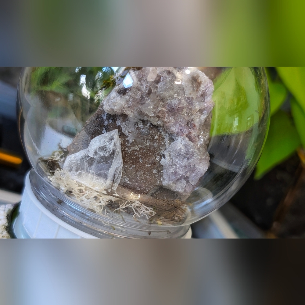 Plastic Moss Dome w/ Thunder Bay Amethyst - Picture 3 of 9
